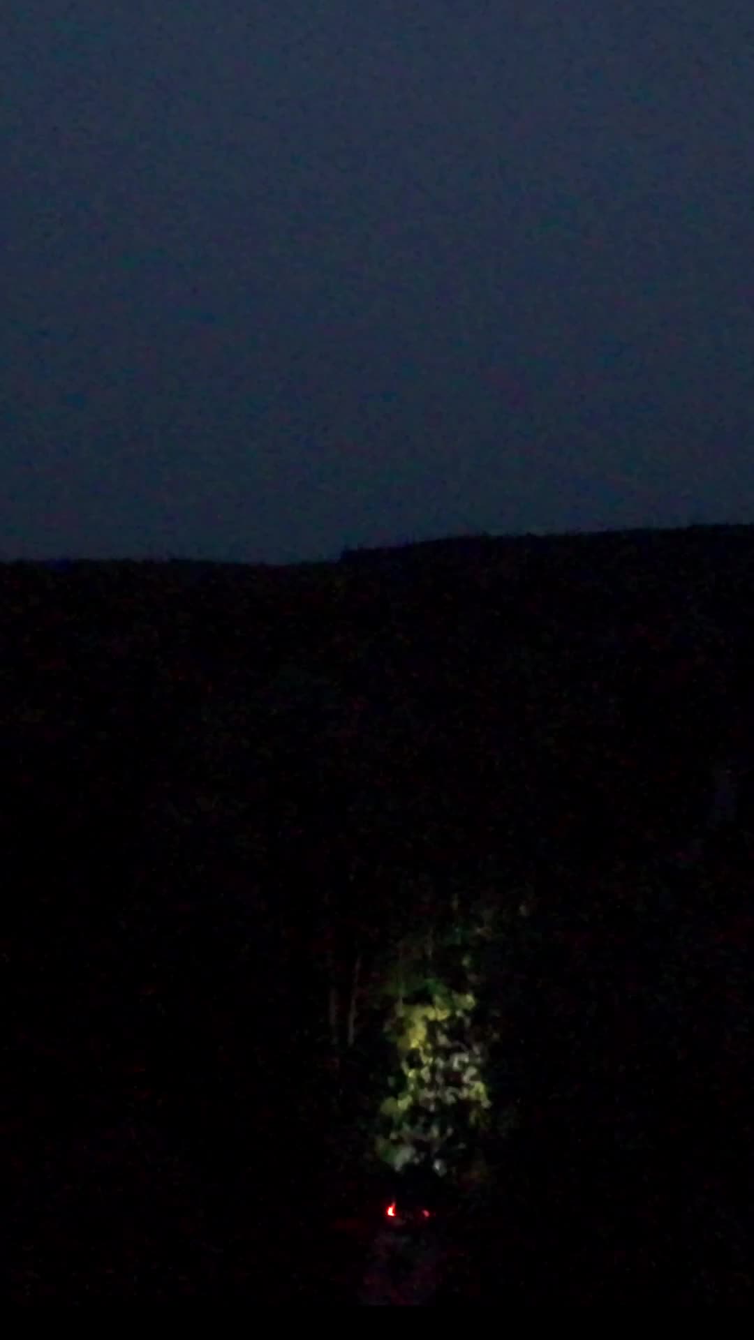 Stillbild ur trailern för mordgåtan Skymningssekten