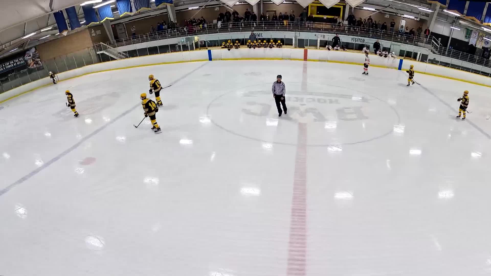 Export 2025-10-20 18:50