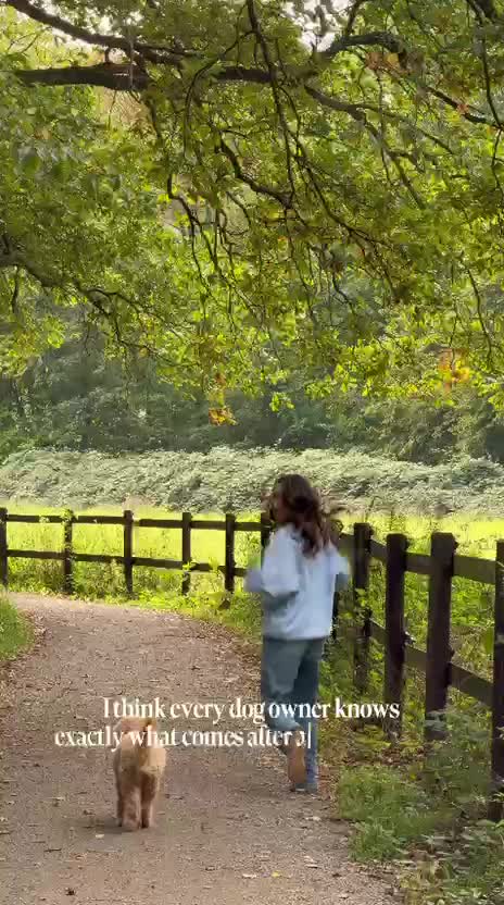 Hund während der gemeinsamen Pflegeroutine